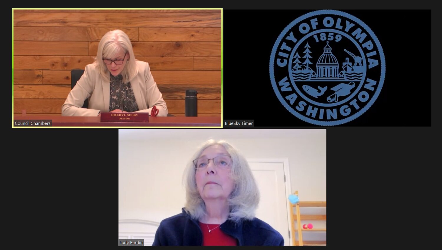 Judy Bardin asked the city to design a realistic regulation. Nne of the Olympia City Council meeting virtual attendees on Tuesday, May 9,